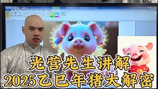 2025乙巳年十二生肖流年运程之猪｜正冲太岁｜变化多端｜天解坐命｜可以减轻｜做事三思｜2025#十二生肖#蛇年#新年#流年运程#家居风水#八字命理#李居明#光营先生