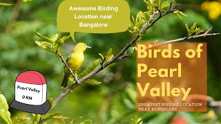 Best Birding Location near Bangalore: Pearl Valley Water Falls: Near Anekal : Nature's hidden resort