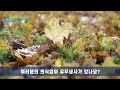 김쌤의 3분 정견특강 33. 이멋고 6 나 라는 존재는 의식이 꾸는 꿈입니다.