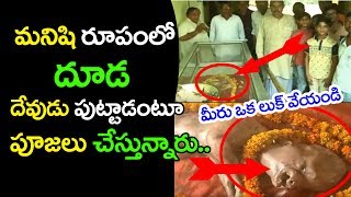 మనిషి రూపంలో దూడ.. విష్ణు మూర్తేనంటూ పూజ‌లు || Brahmam Gari Kalagnanam Turns True || TopTeluguMedia