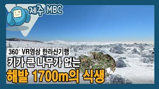 [360° VR 영상] 키가 큰 나무가 없는 ‘해발 1700m의 식생’