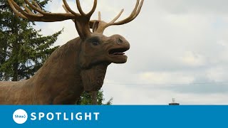 Maximillion the Moose - Dryden's Famous Roadside Attraction