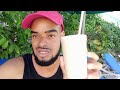 vlog weekend at sea garden beach resort visiting iberostar hotel review