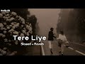 Lyric - Tere Liye[Slowed+Reverb] || Atif Aslam,Shreya Ghoshal || Audio SR Vibes