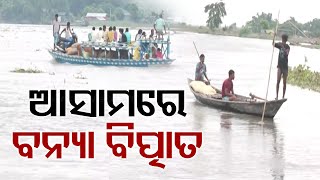 Normal Life Gets Affected Due to Flood Situation in Assam