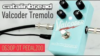 Catalinbread Valcoder Tremolo - Обзор Pedalzoo