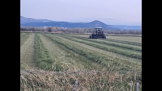 CSU Water Quality Results from Irrigated Hay Meadow Monitoring