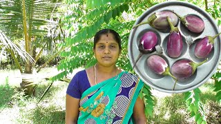 இப்படி ஒரு முறை செஞ்சா திரும்ப திரும்ப செய்விங்க | கத்தரிக்காய் வைத்து சூப்பர் சைடிஷ்