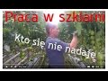 Praca w szklarni. Praca w Holandii. Kto się nie nadaje.