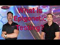 What is epigenetic testing and why is it important?