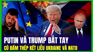 Putin Và Trump Bắt Tay: Đây Sẽ Là Cú Đấm thép Kết Liễu Ukraine Và NATO | Luận Đàm Thế Giới