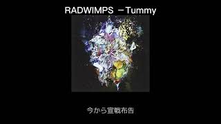 Tummy  日本語訳 RADWIMPS