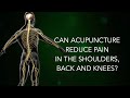 Can acupuncture reduce pain in the shoulders, back, and knees?