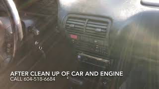 Best Car Mold Removal | 800+ Reviews | D&V Detailing - Videos