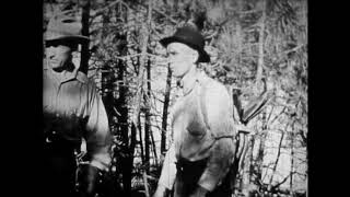 WFSTAR: Common Errors In Fighting Forest Fires (Full Program)