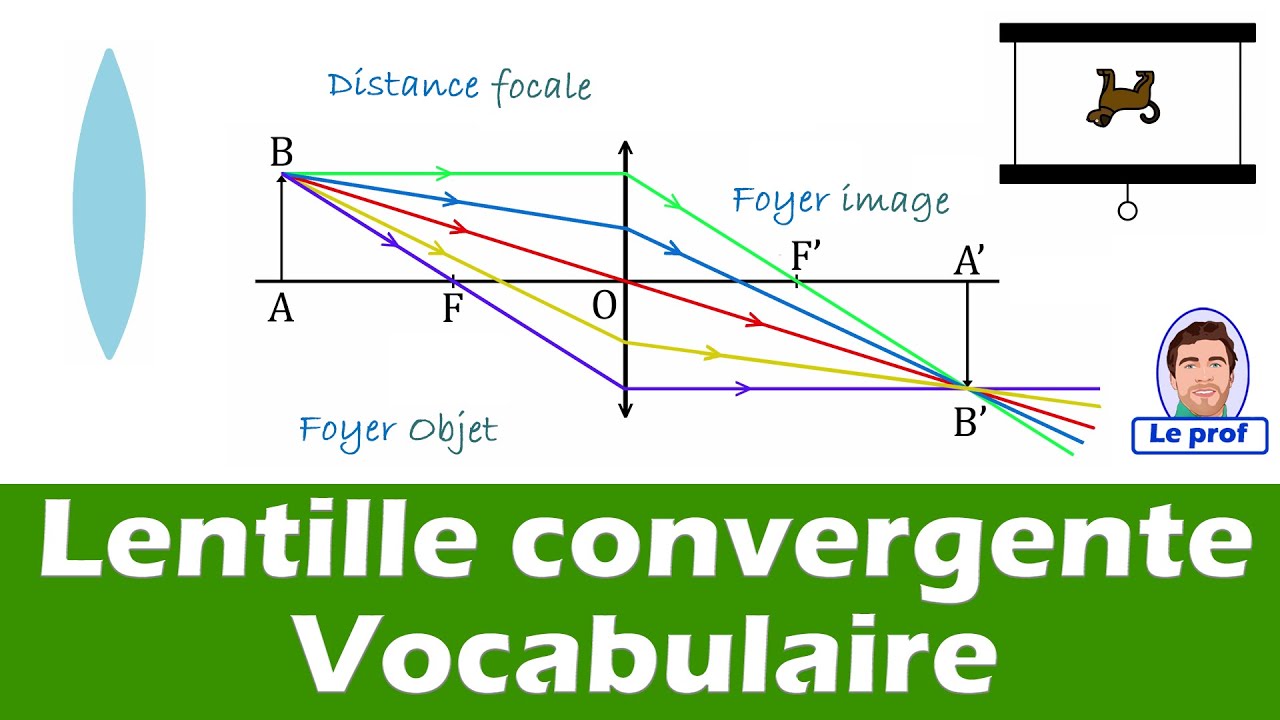 Foyer Objet Et Distance Focale