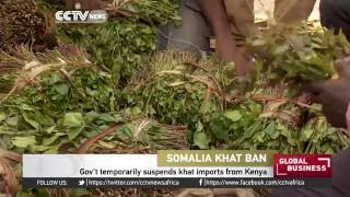 Somali gov't temporarily suspends khat imports from Kenya