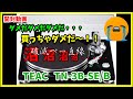 【開封動画】レコードプレーヤー（TN-3B-SE）購入しました！⇒最高でした。