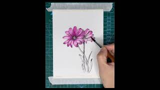 Easy Watercolor | chrysanthemum | 简单水彩 | 菊花| #26 | #shorts