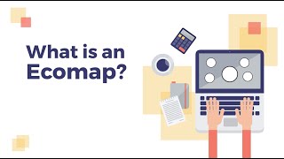 What is an Ecomap?