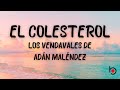 EL COLESTEROL - LOS VENDAVALES DE ADÁN MALÉNDEZ (LYRICS)