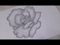 How To Draw a Rose | pencil sketch | Art & Craft by Anu