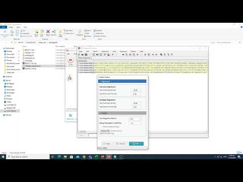 How do I convert Fasta to mega format?