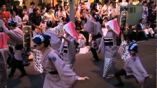 20110722191325弐穂連1　～2011 7 22 第40回神楽坂まつり ： 阿波踊り大会～