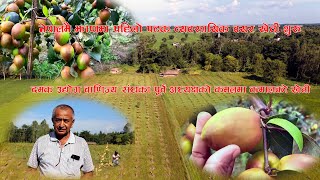 Bayer kheti नेपालमै पहिलो पटक व्यवसायिकरुपमा बयर खेती झापामा शुरु