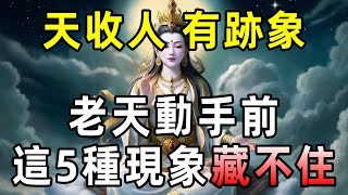 [洞見禪心] 天收人 有跡象 ！老天動手前，注意這5種跡象！    #洞見禪心 洞見禪心 #人生感悟 #佛學2024 #心理學 #佛教哲學 #佛禪