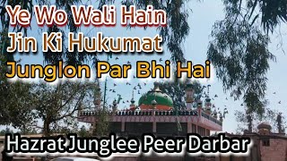 Hazrat Junglee Peer Dargah #Vlog | Jungle Ke Raaja | #WLIvlogs