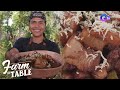 Farm To Table: Chef JR Royol shares his Calderobo recipe