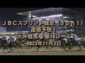 ＪＢＣスプリント競走（Ｊｐｎ１） 直感予想！ 大井競馬場 第10レース 2023年11月3日