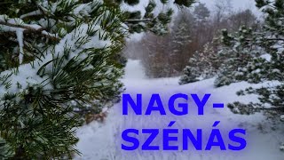 TOP TÚRAÚTVONAL / Szűz hóban a Nagy-Szénáson