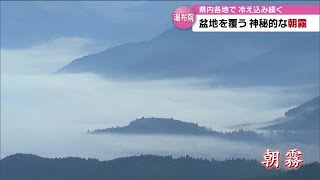 由布院の幻想的な光景　盆地を覆う「朝霧」が秋の深まり告げる　大分 (22/11/02 18:30)