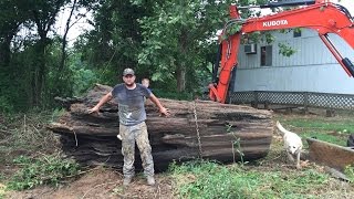 Dragging Out A Huge Cypress Log!