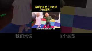 科普：双胞胎是如何形成的？