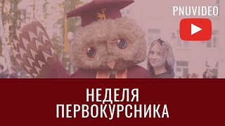 Информационная встреча ректората и служб университета с первокурсниками