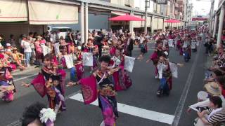 第63回よさこい祭り(2016/8/11)「月下桜舞連」