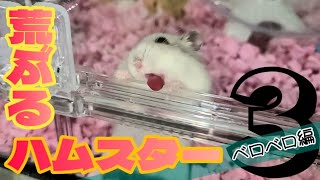 32【荒ぶるハムスター３】ケージを舐めまくる…！