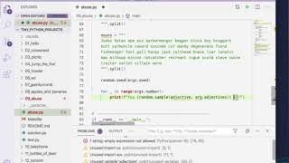 Tiny Python Projects: Ch 9 Pt 6 (Abuse solution)