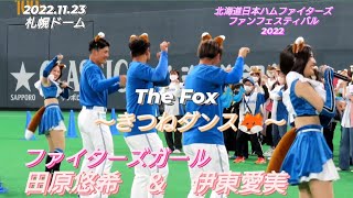 2022.11.23  ファイターズガール　田原悠希　伊東愛美『The Fox』〜きつねダンス🦊〜（北海道日本ハムファイターズファンフェスティバル2022）