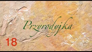 Przyrodyjka 18