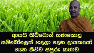 ආසයි කිව්වොත් තණකොළ සම්බෝලෙත් හදලා දෙන දායකයෝ ගැන කිව්ව අපුරු කතාව#borelle kovida himi   #bana