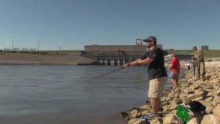 Providing Opportunities for Wounded Warriors