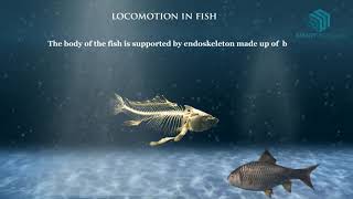 Locomotion in Animals- Science Animation