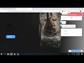Changing the landing page background alongside the Quriobot conversation