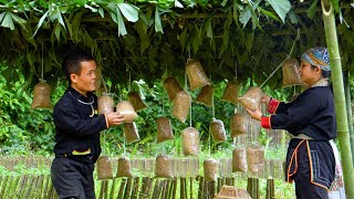 Dwarf family builds a hut to grow mushrooms and finds newly hatched wild chickens.