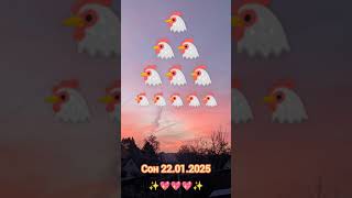 65 ✨💖✨МОИ КУРОЧКИ 🐔 ЕЩЁ НЕ МНОГО И ИСТИНА ВОСТОРЖЕСТВУЕТ! Сон 22.01.2025