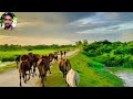 ছাগলের dj রেব গান।🐐 ছাগলের গান।goat song।😀 রুবেলমিয়া robeltvnews funny funnyvideo song songs